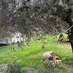בית אירוח Rida Sultan Konagi Kozbeyli