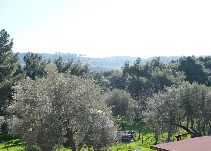 Homestay Rida Sultan Konagi Kozbeyli