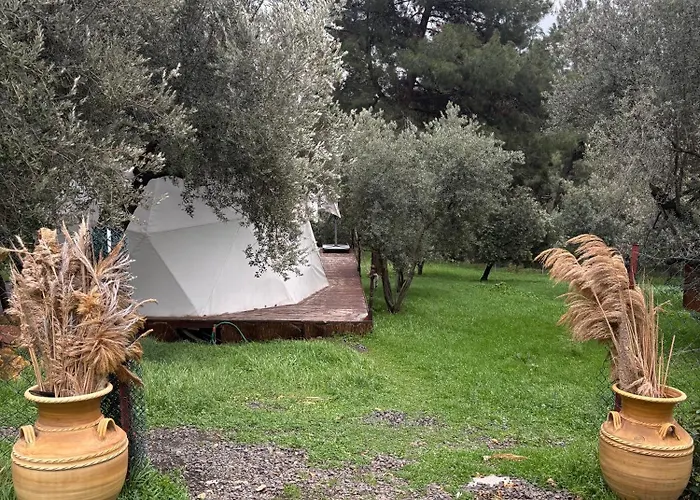 Rida Sultan Konagi Kozbeyli