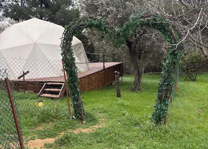 Rida Sultan Konagi Kozbeyli *