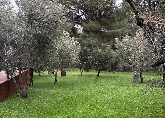 Homestay Rida Sultan Konagi Kozbeyli